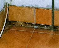 Bordes de la solera