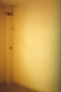 Fig2